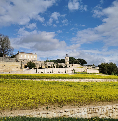 img chateau conquista wine